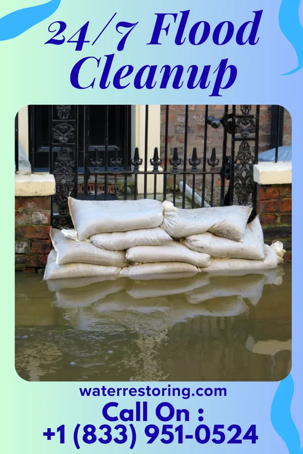 24/7 Flood Cleanup in Mazon, IL