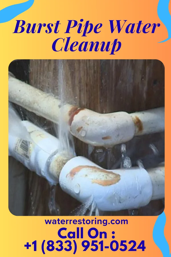 Burst Pipe Water Cleanup in Mazon, IL