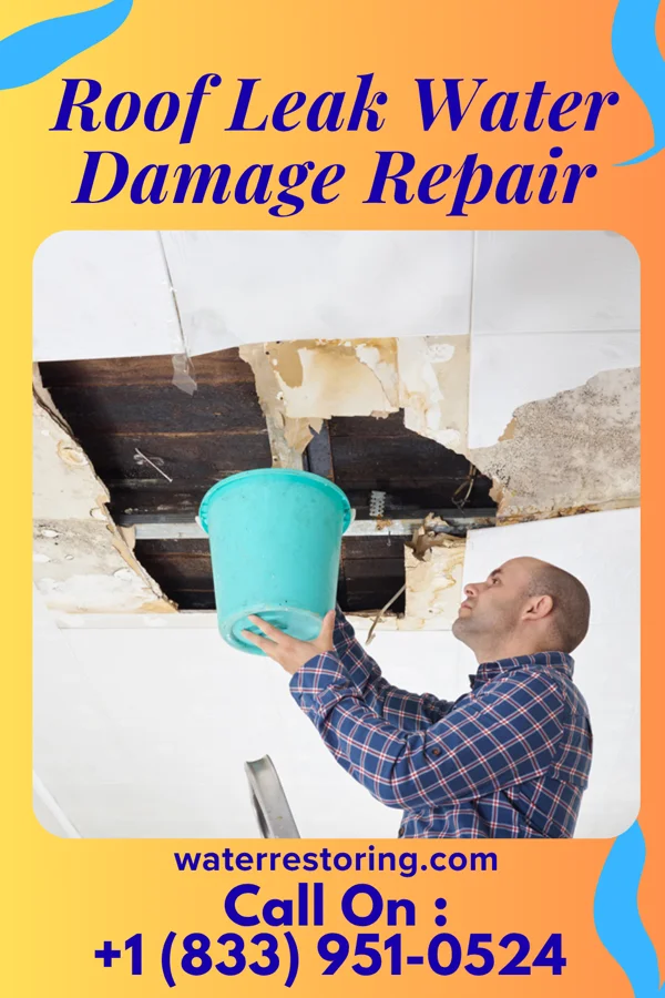 Roof Leak Water Damage Repair in Mazon, IL
